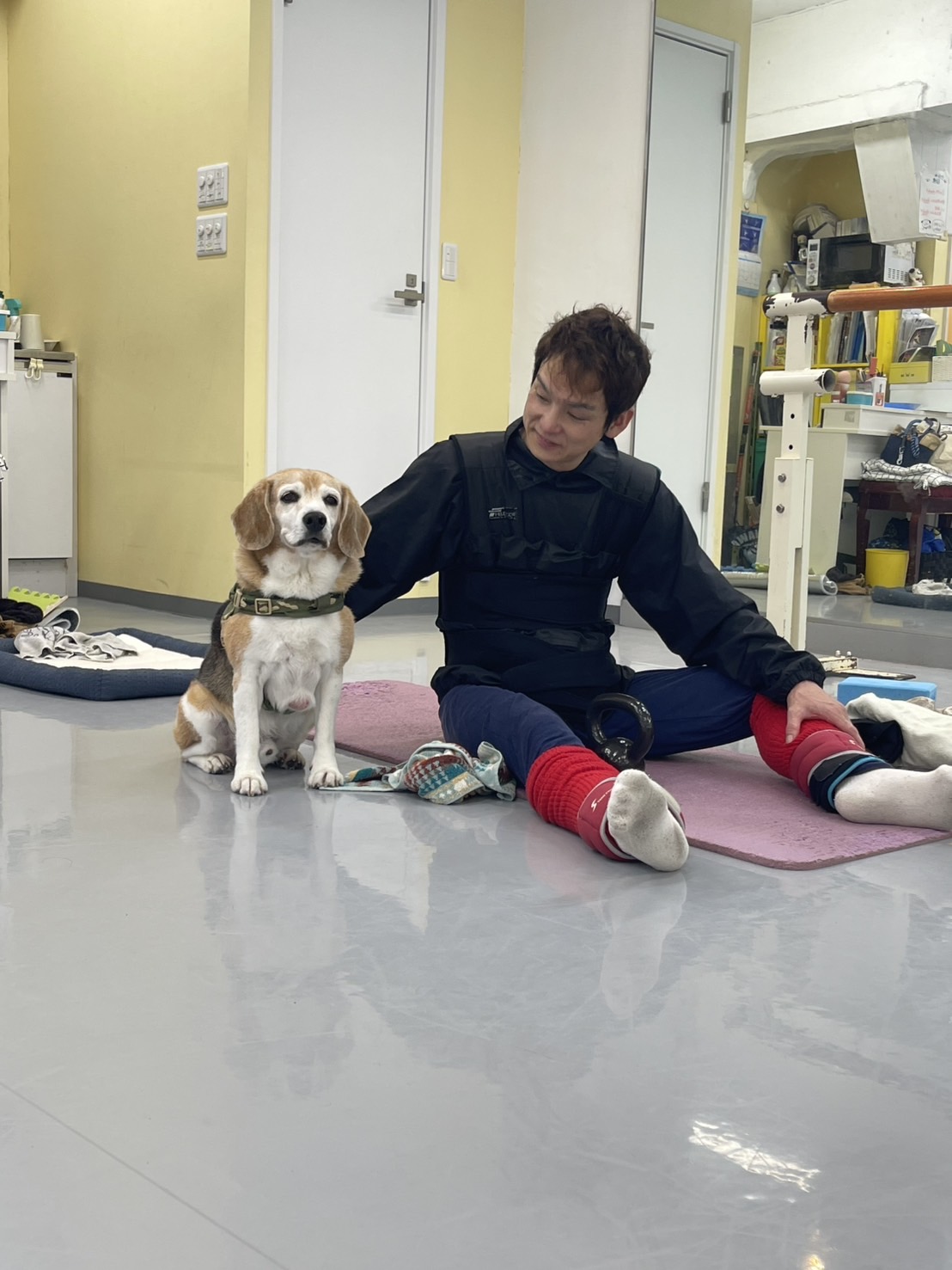 スタジオに犬がきた🐕